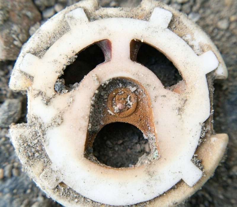 pareidolia-1.jpg