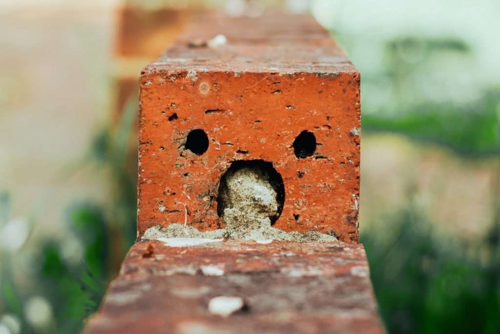 pareidolia-4-1024x684.jpg