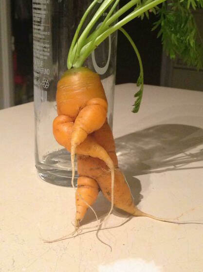 pareidolia-frutas-y-verduras-divertidas-7.jpg