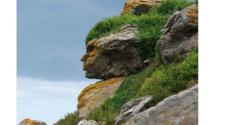 pareidolia-roca.jpg
