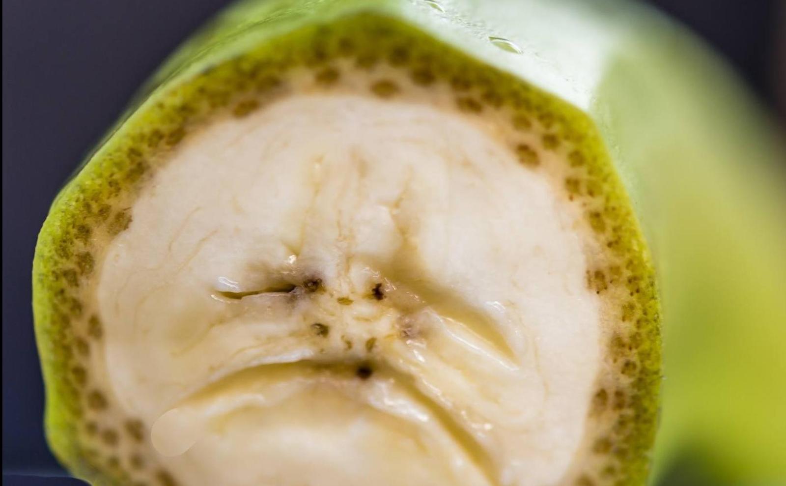 pareidolia8-khLE-U13072116414727C-1968x1216@RC.jpg