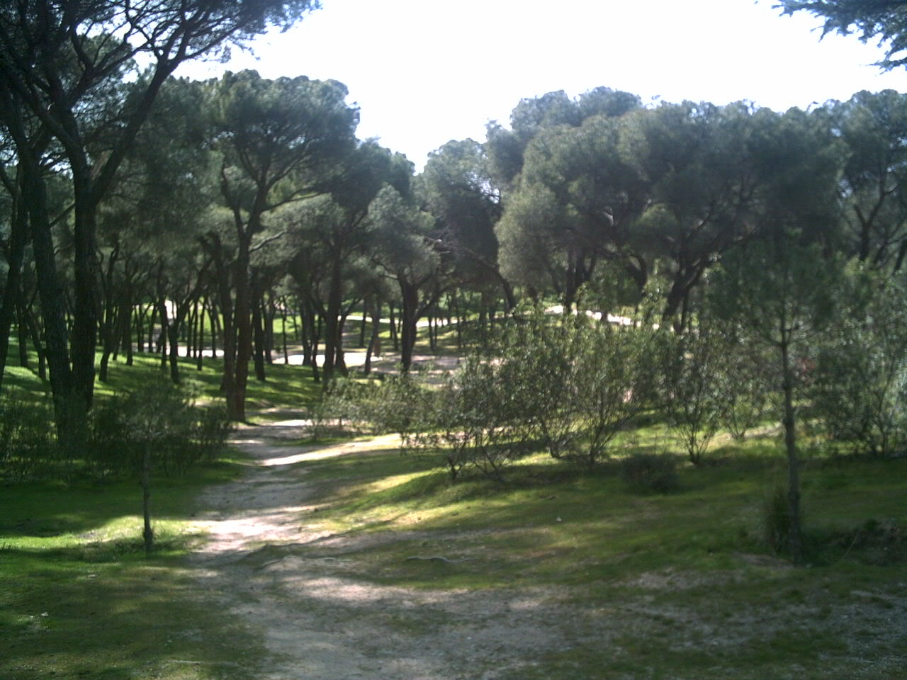 parque.jpg