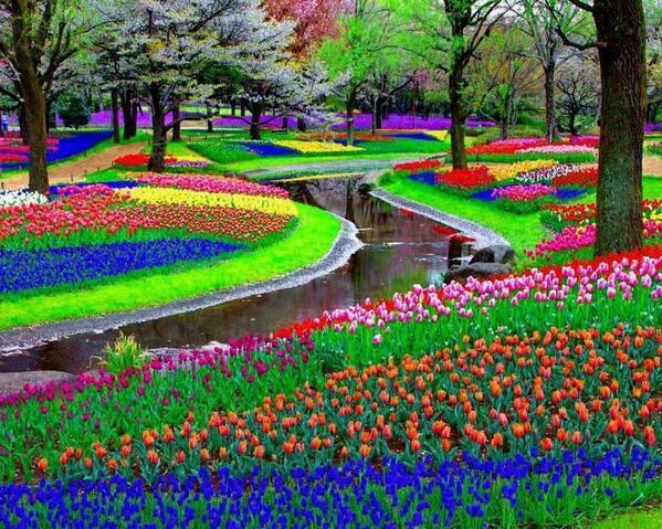 Parque+Keukenhof.jpg
