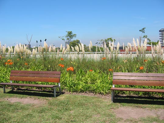 parques_014.jpg