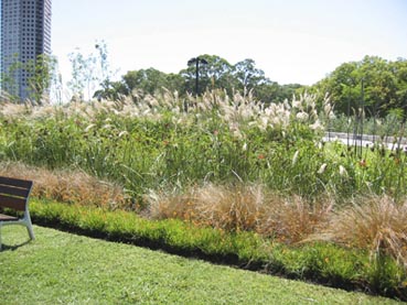 parques_0201.jpg