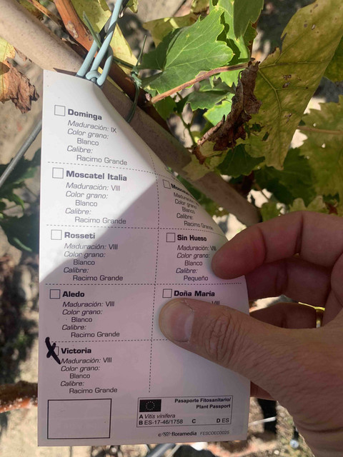 parras-vivero01.jpg