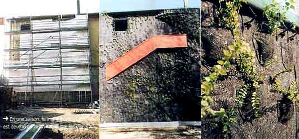 pascalcribier.jpg