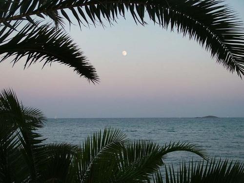 paseo-de-las-pitiusas-s-550-playa-ses-figueretes-1568472.jpg