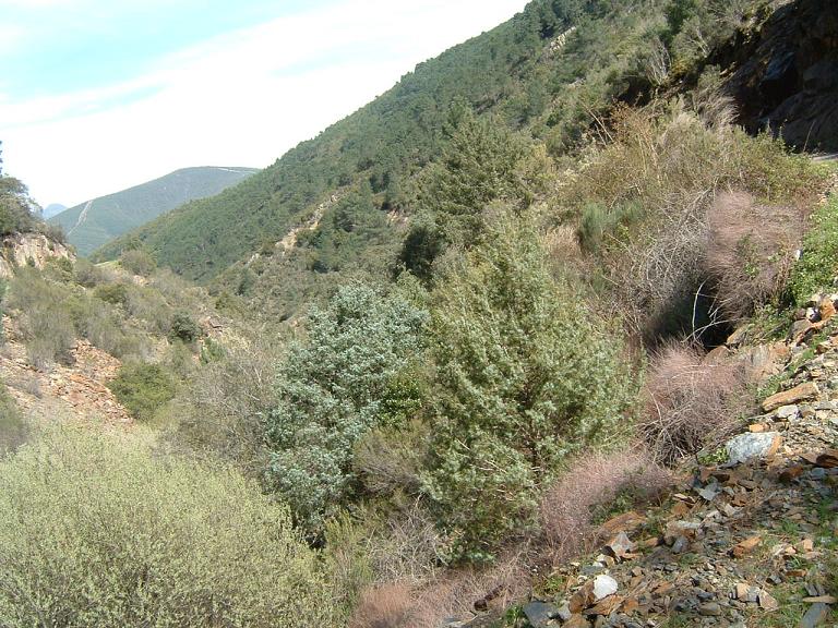 paseo5.JPG