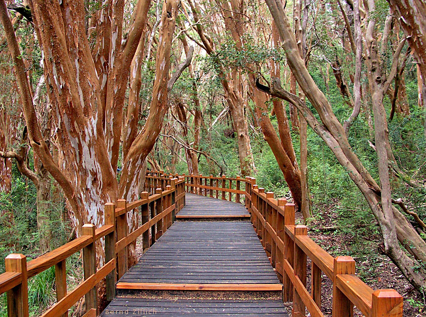Paseo_259872155.jpg