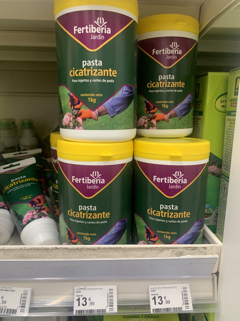 pasta-cicatrizar.jpg