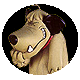 patan.gif
