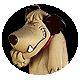 patan.gif