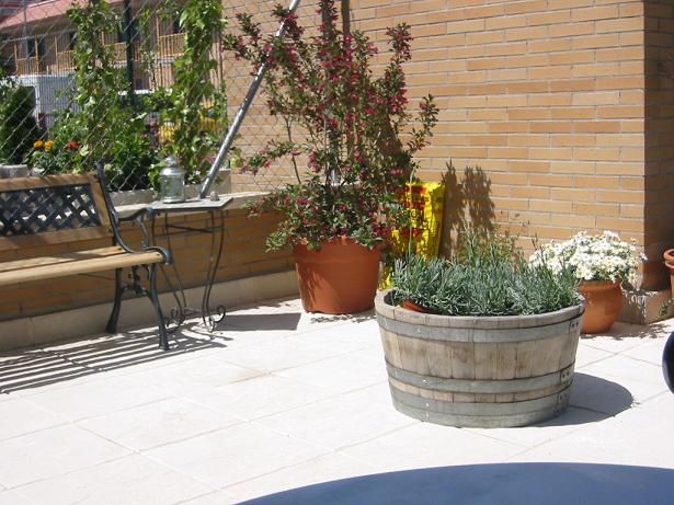 Patio%20entrada%202005%205.jpg