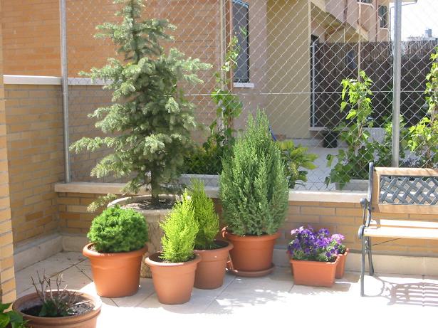 Patio%20entrada%204.jpg