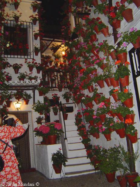 patio-geranios1.jpg