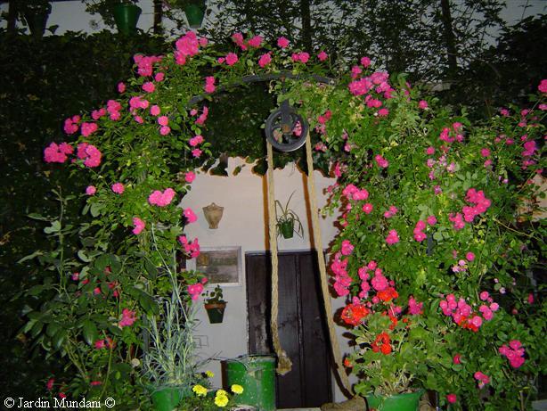 patio-rosas.jpg