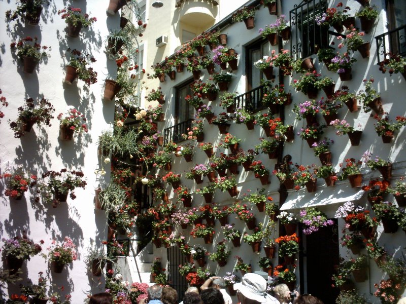 patio18.jpg