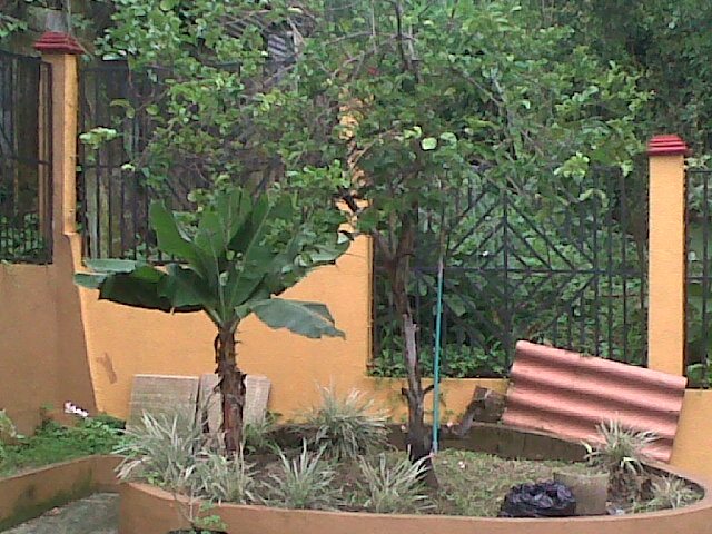 PATIO2.jpg
