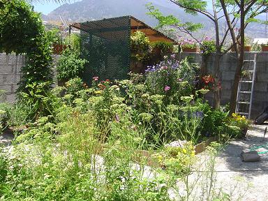 patio7.jpg