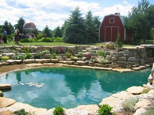 patio9.jpg