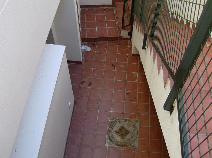 patioingles.jpg