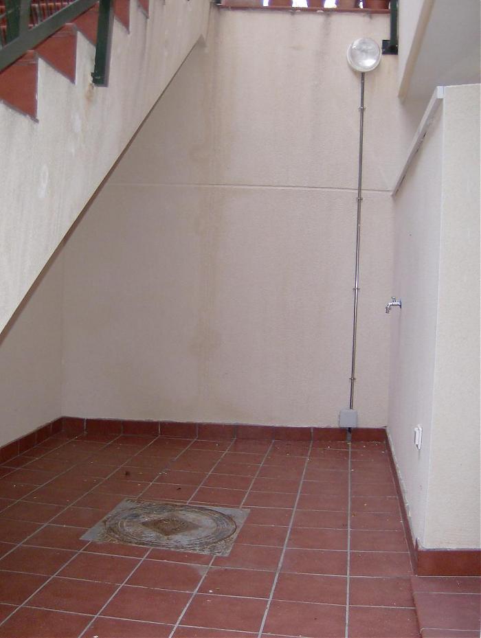 patioingles2.jpg