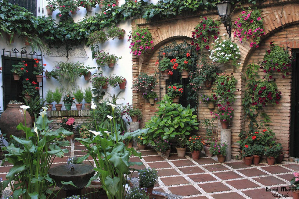 patios-de-cordoba_6133411.jpg
