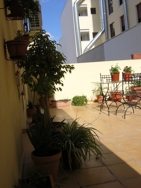 patioyplantasdeinterior014.jpg