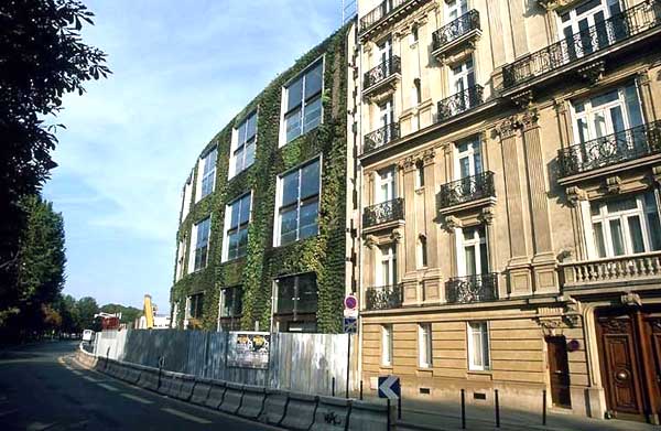 patrickblanc-musee-branly.jpg