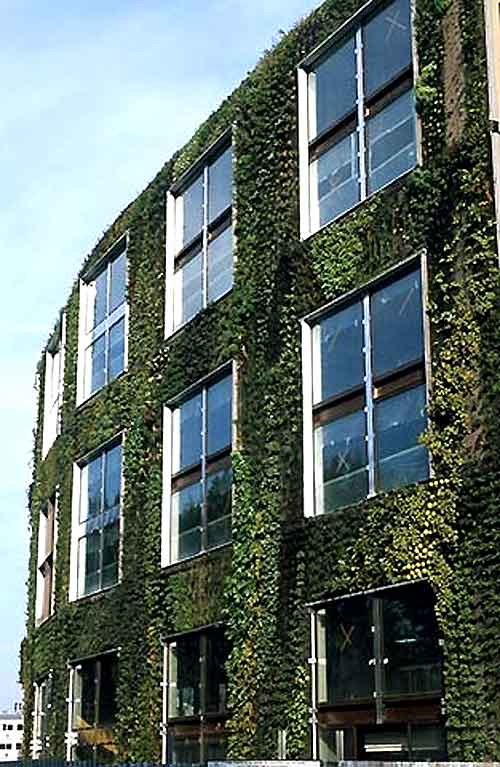 patrickblanc-musee-branly2.jpg