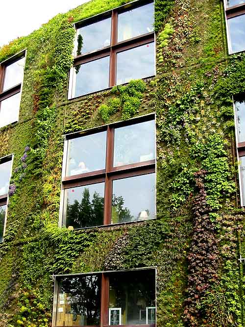 patrickblanc-musee-branly3.jpg