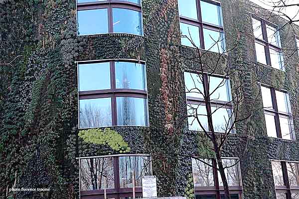 patrickblanc-musee-branly5.jpg