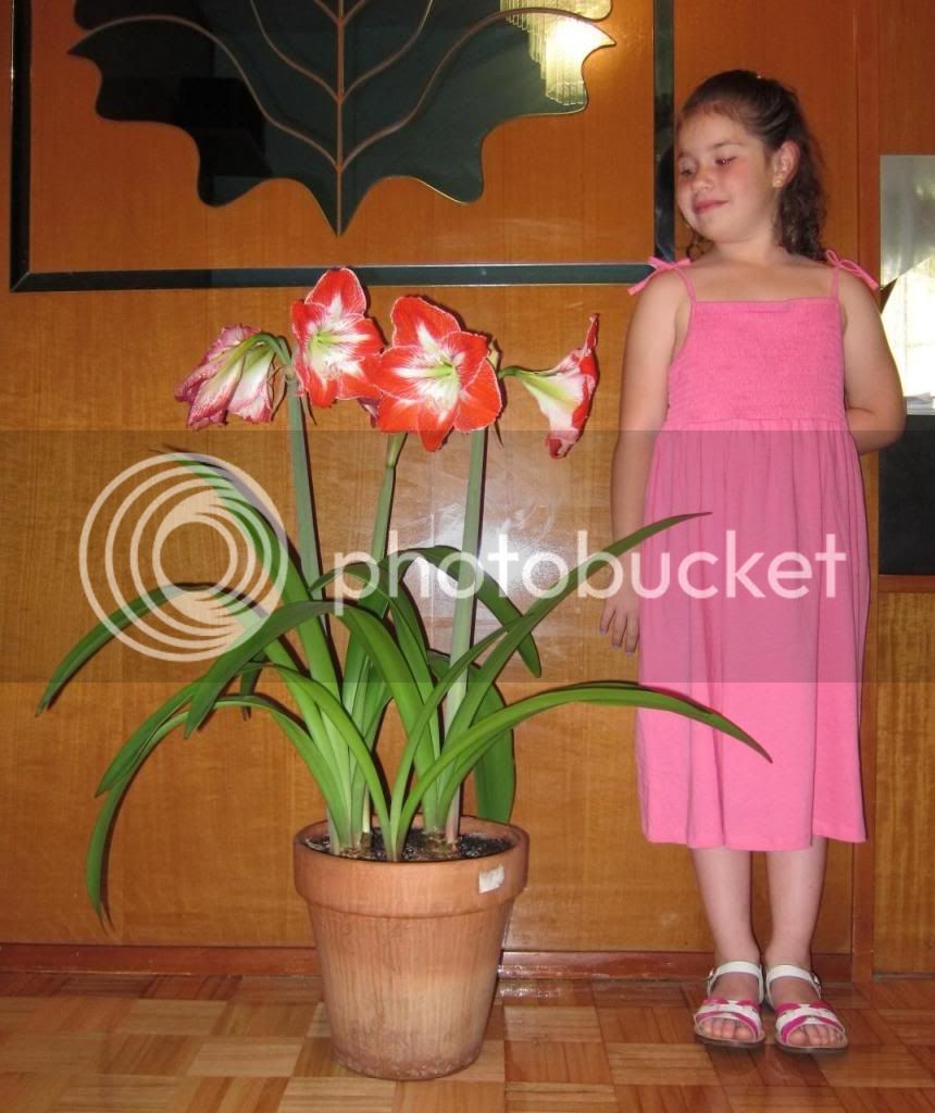 paula_zps0ca7ab8a.jpg