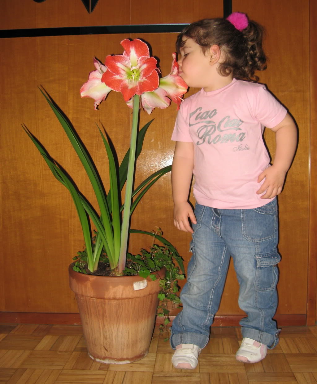 paulaflor3.jpg