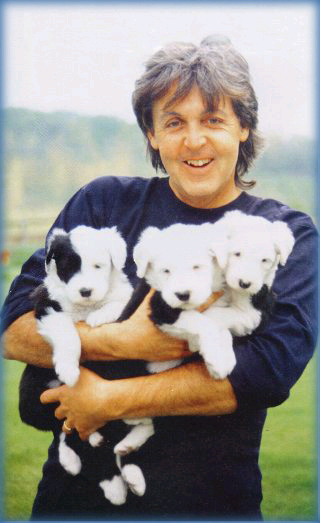 pauldogs.jpg