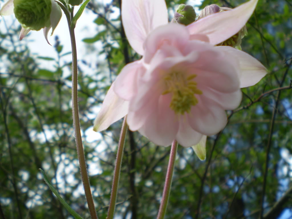 PB010274.jpg