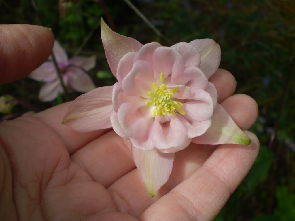 PB010276.jpg