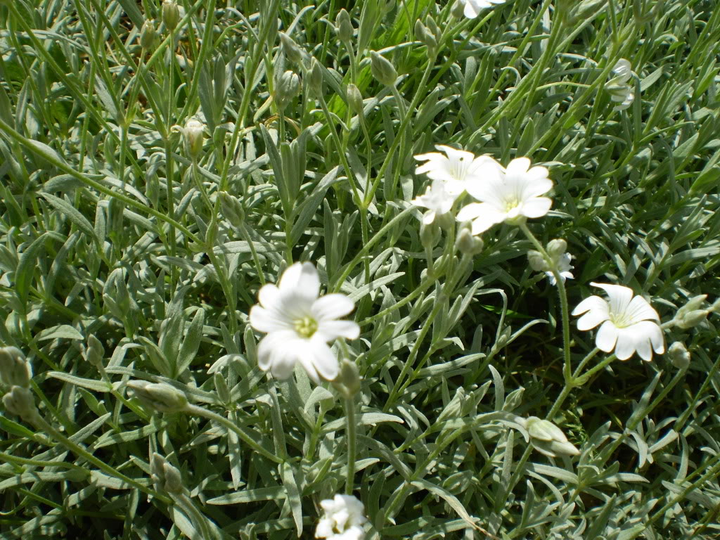 PB010283.jpg