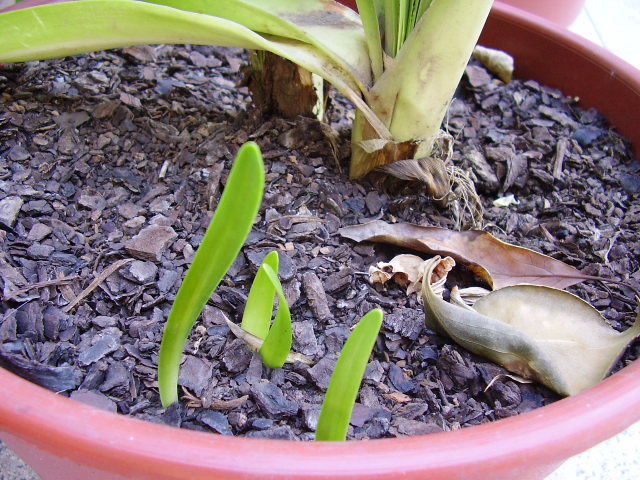 PB020058.JPG