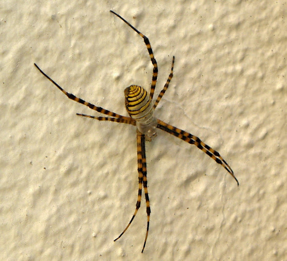 PB040087.JPG