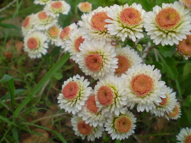 PB050597.JPG