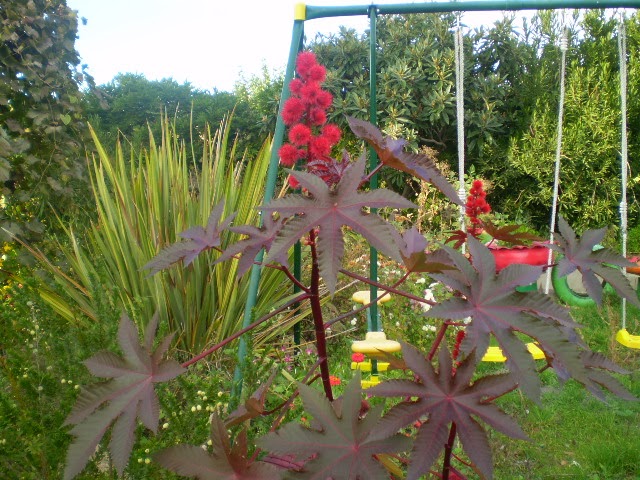 PB070615.JPG