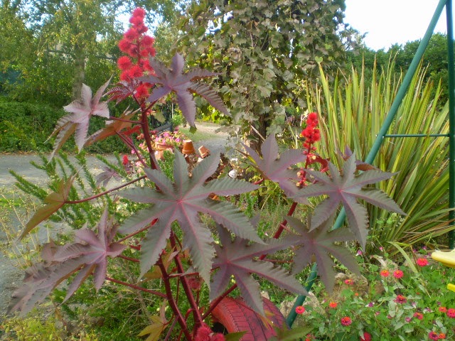 PB070616.JPG