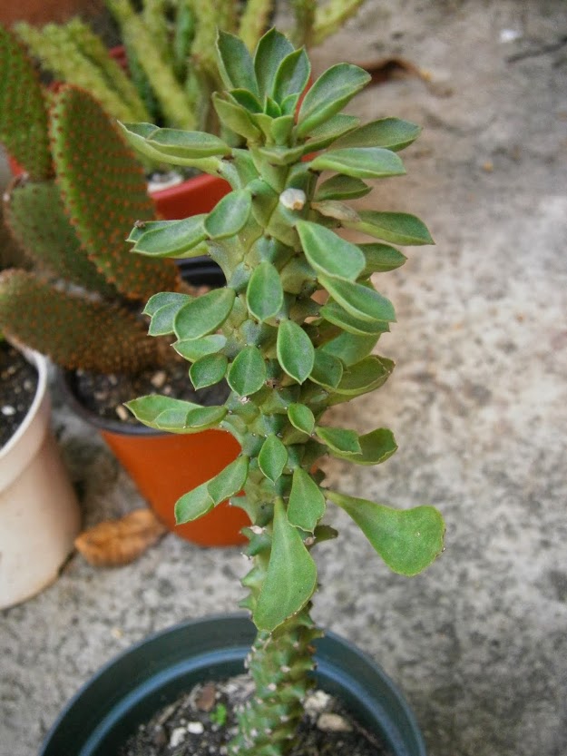 PB091901.JPG