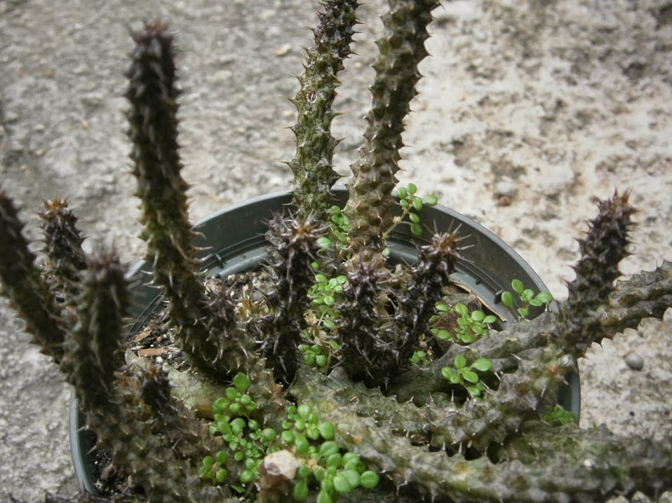 PB091918.JPG