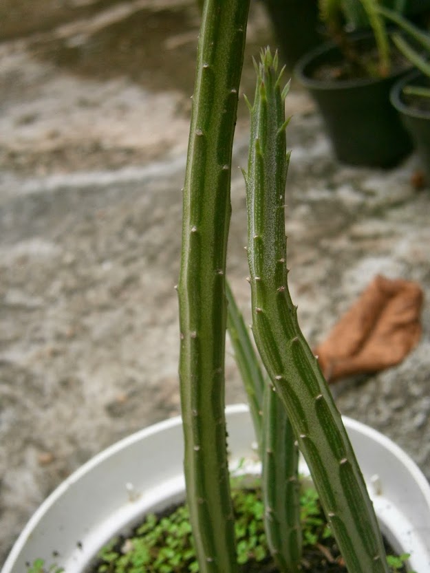 PB091921.JPG