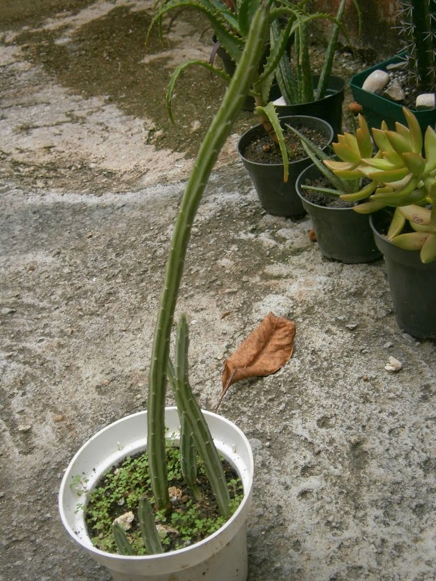 PB091924.JPG