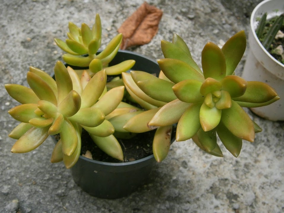 PB091926.JPG