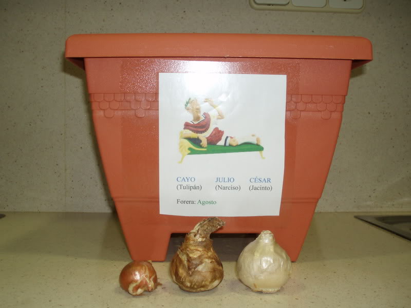 PB100430.jpg